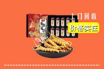 重庆市荣昌回收冬虫夏草